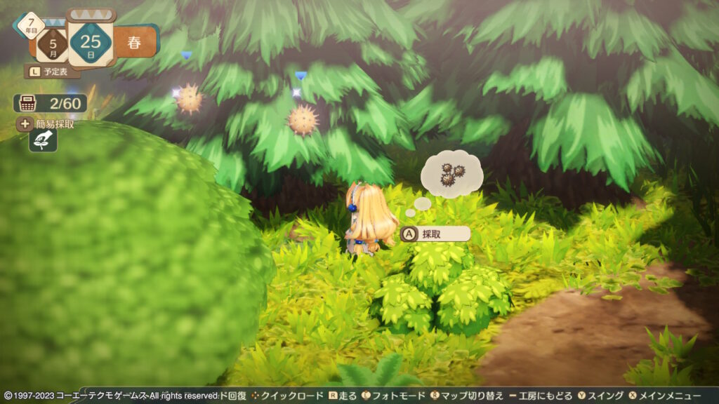 近くの森で採取できるニューズ