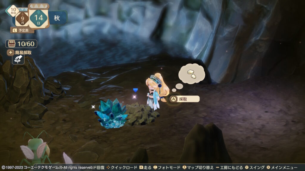 エルフィン洞窟で採取できるフェスト