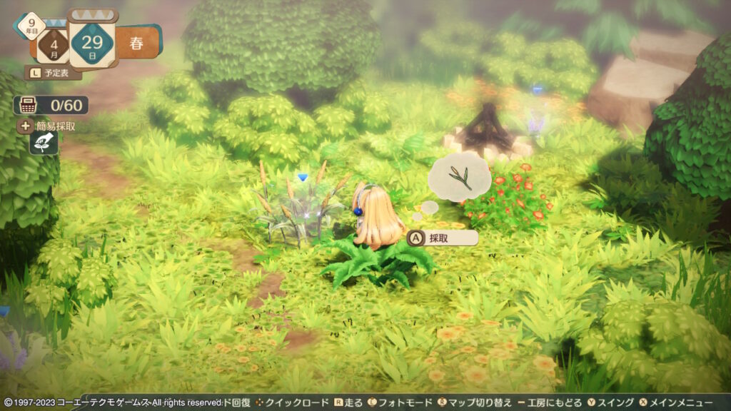 ヘーベル湖で採取できるズフタフ槍の草