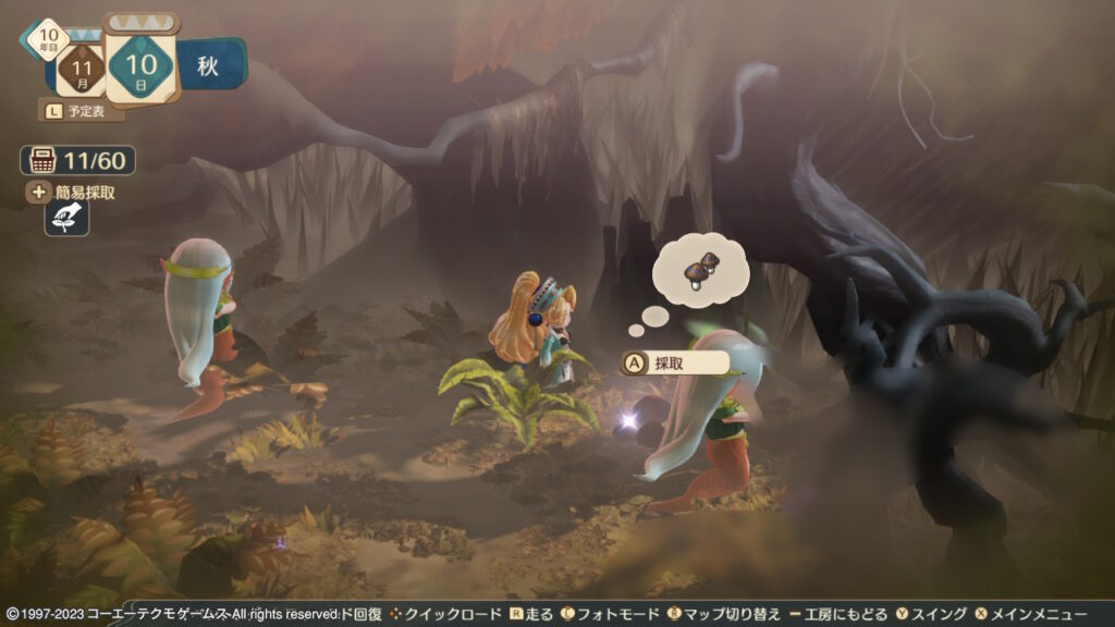 メディアの森で採取できるヤドクタケ