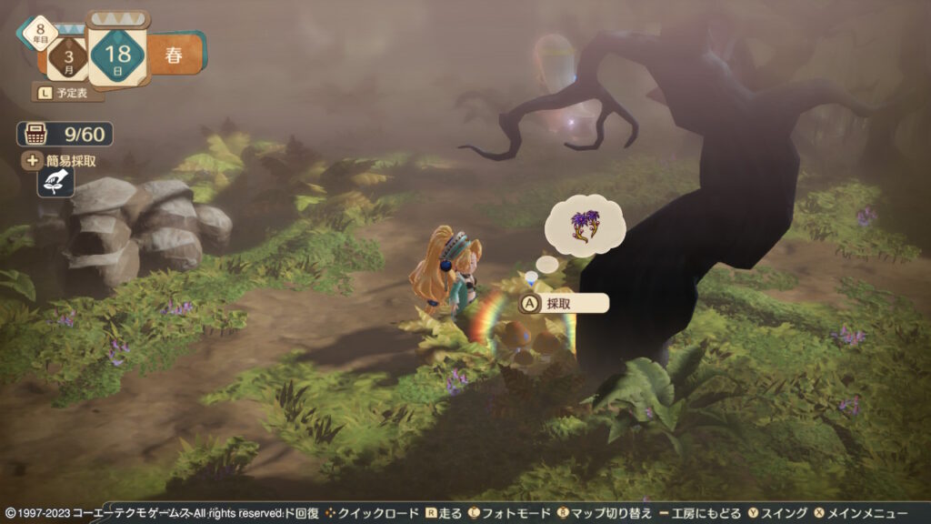 メディアの森で採取できるヤドクヤドリ