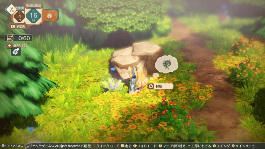 近くの森で採取できる魔法の草