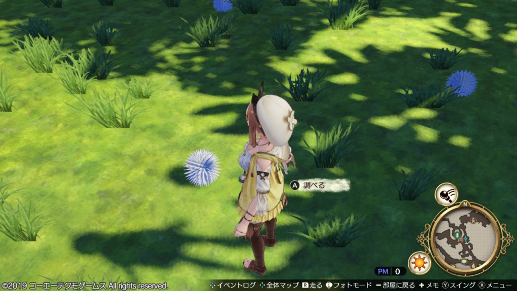 うにの入手場所