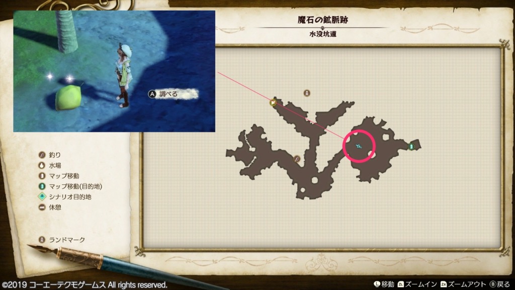 パルマの実の採取場所