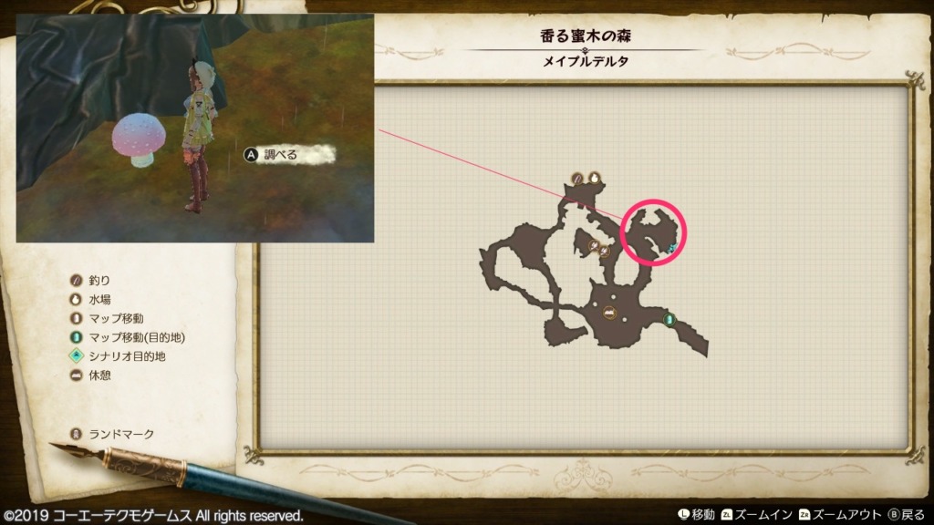 夢見るきのこの採取場所_香る蜜木の森