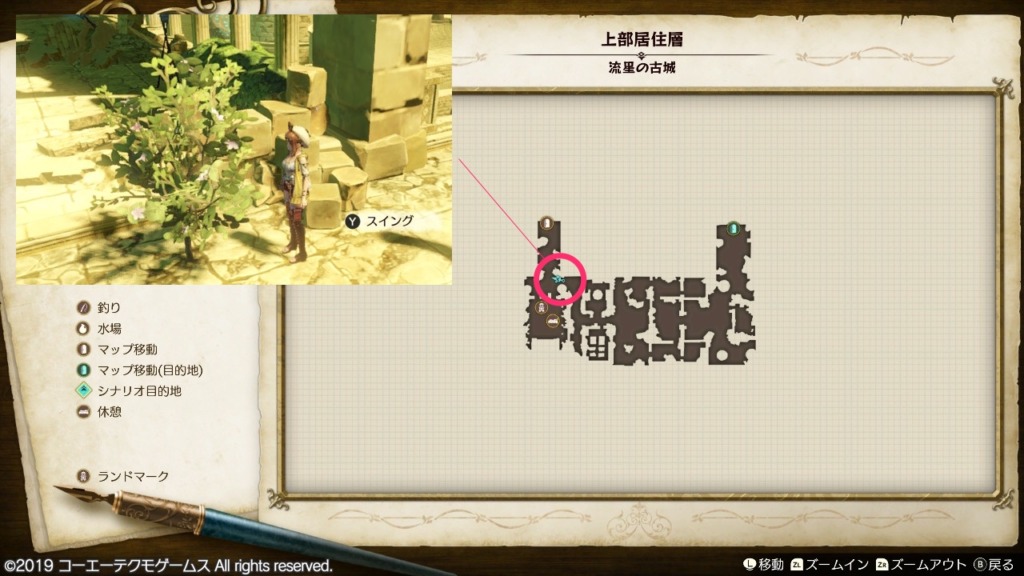 若木の枝葉の採取場所