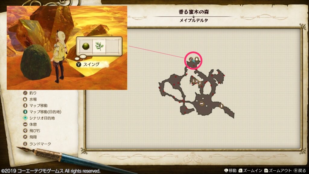 クスリゴケの採取場所_香る蜜木の森