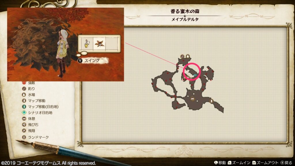 コゲクサの採取場所_香る蜜木の森