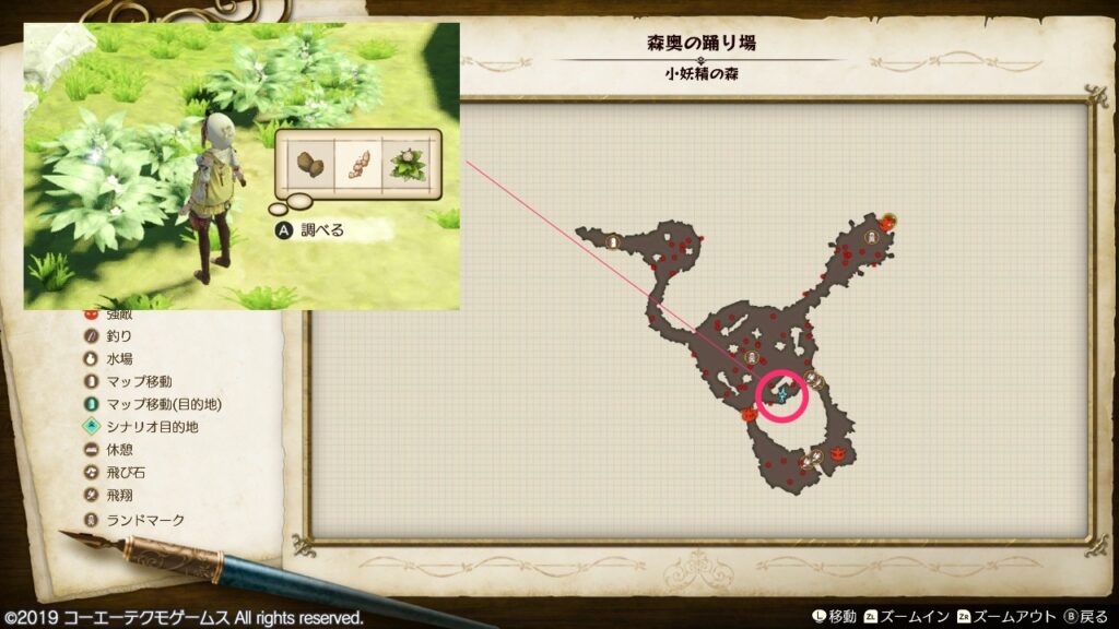 ノライモの採取場所_森奥の踊り場