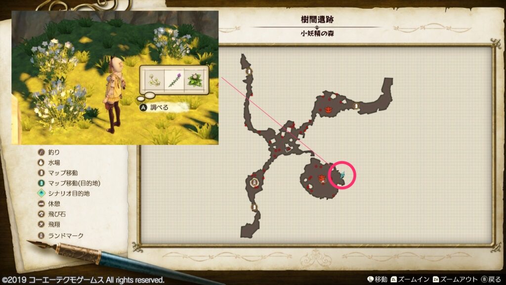 幸せクローバーの採取場所_樹間遺跡