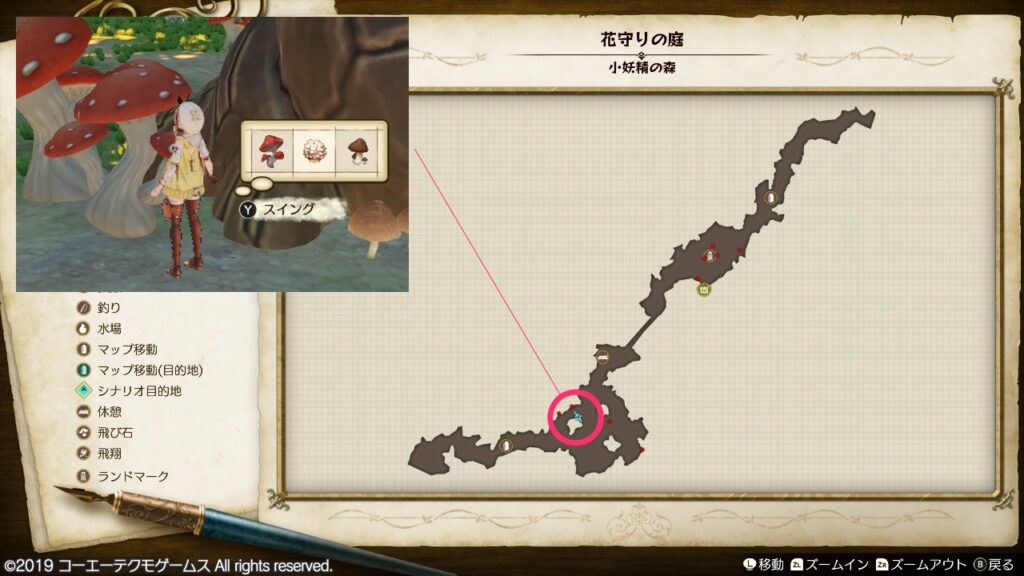 群体きのこの採取場所_花守りの庭