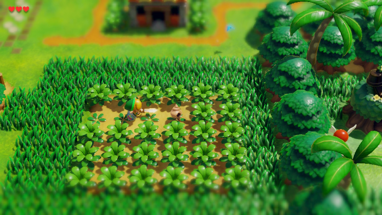 ヒミツの貝がら1の場所