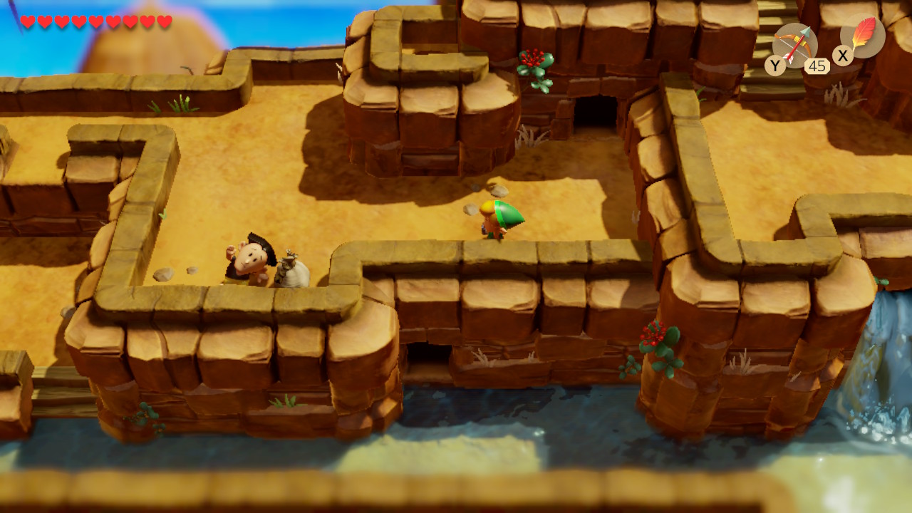 ハイビスカスの入手場所